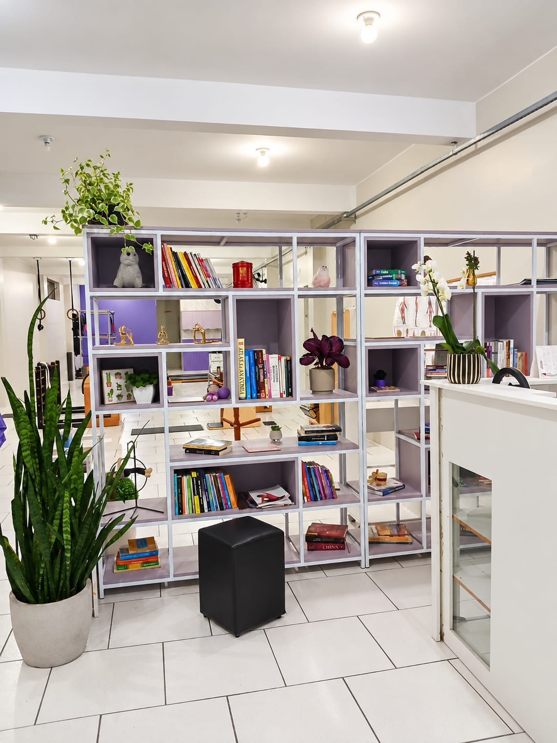 Recepção do Janaína Wellness com livros, plantas e parte do estúdio